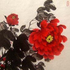 金陵牡丹王-陆瑜|陆牡丹|陆瑜牡丹画院