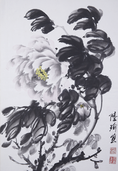 金陵牡丹王-陆瑜|陆牡丹|陆瑜牡丹画院